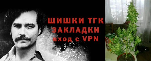 мдма Гусев
