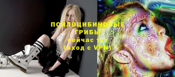 метадон Гусиноозёрск