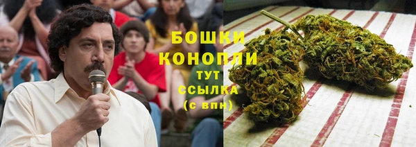 метадон Гусиноозёрск