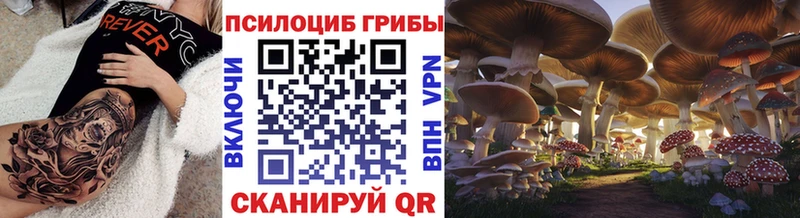 ОМГ ОМГ ONION  Ивантеевка  Галлюциногенные грибы Psilocybine cubensis 