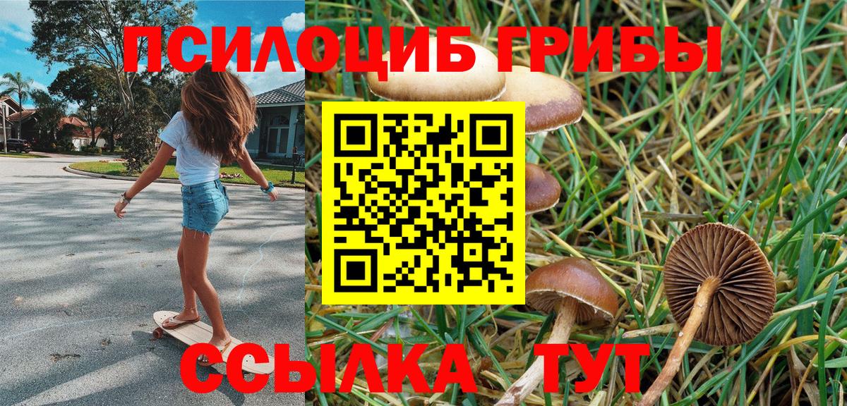 Псилоцибиновые грибы Magic Shrooms  Вход с VPN  Псилоцибиновые грибы ЛСД  Ивантеевка 